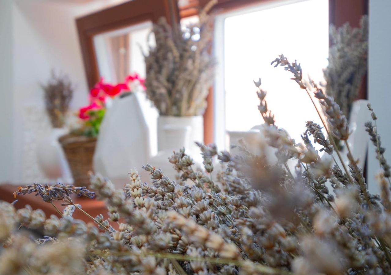 Vanilla Izola Dış mekan fotoğraf