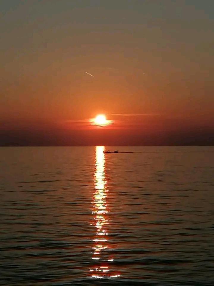 Vanilla Izola Dış mekan fotoğraf