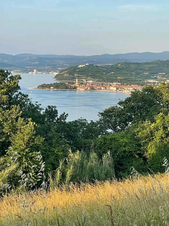 Vanilla Izola Dış mekan fotoğraf